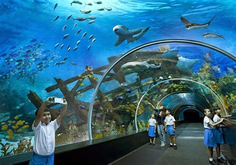 Ritebook: SEA Aquarium, The World's Largest Aquarium | Sentosa, Singapore