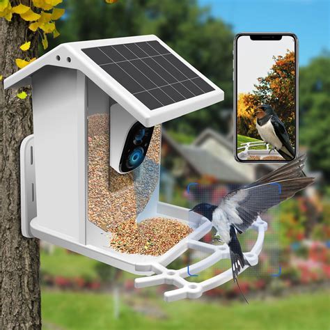 Buy Solar Smart Bird Feeder with Camera,Camera Bird Feeders for Outside,AI Identify 11000+ Bird ...