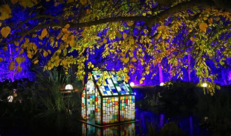 Descanso Gardens' Luminous Enchanted Forest Of Light Is Making A Comeback