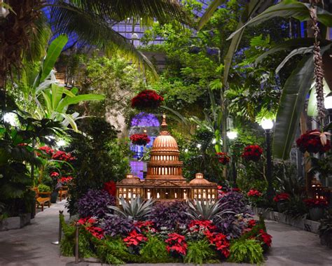 30 Festive Ways To Celebrate Christmas In Washington DC 2023