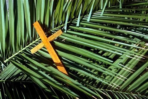 Palm Sunday March 24 2024 - Jessi Philippe