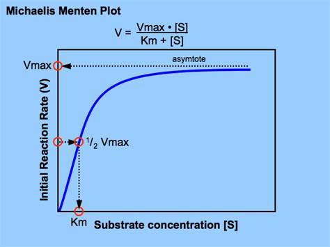 Enzyme Kinetics