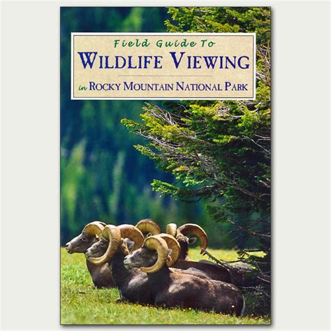 Field Guide to Wildlife Viewing in Rocky Mountain National Park - Rocky ...