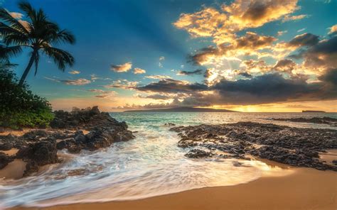 Download Wallpaper 1440x900 Palm trees, sea, clouds, beach, sunset HD Background