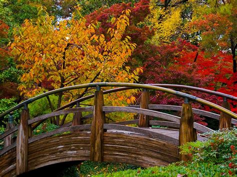 The Japanese Garden - Fort Worth Botanic Garden