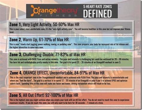 Tampa Tuesdays: Orangetheory Fitness You Fitness, Fitness Training, Fitness Tips, Health Fitness ...