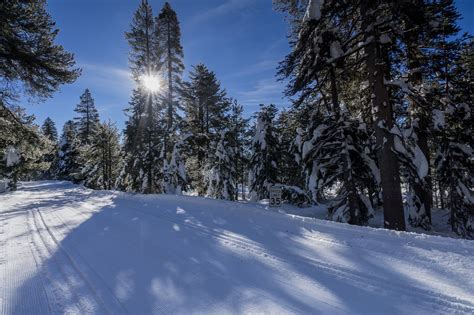 22 Hours of Driving, 1.5 Days of Snowshoeing, Yosemite National Park! - Seek Adventure