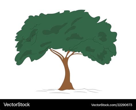 Big tree drawing color Royalty Free Vector Image