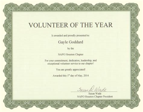 NAPO Houston Volunteer of the Year 2014 - The Clutter Fairy