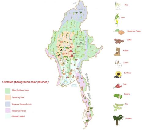 Myanmar agriculture 101 | Frontier Myanmar