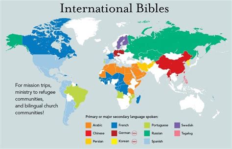 The Bible in Many Languages | Reaching Internationals