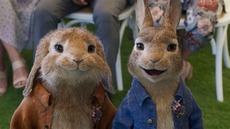 'Peter Rabbit 2:The Runaway' Review: A Sure-footed, Superior Sequel - Variety