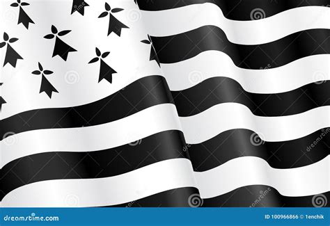 Cropped Breton Flag - Flag of Brittany Stock Vector - Illustration of breizh, light: 100966866