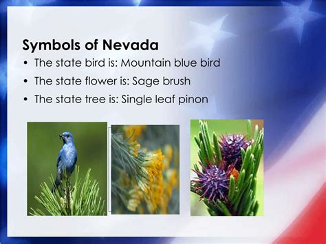 PPT - OUR 50 STATES: NEVADA PowerPoint Presentation, free download - ID ...