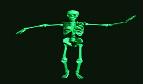 Skeleton Dancing GIF - Skeleton Dancing Animation - Discover & Share GIFs