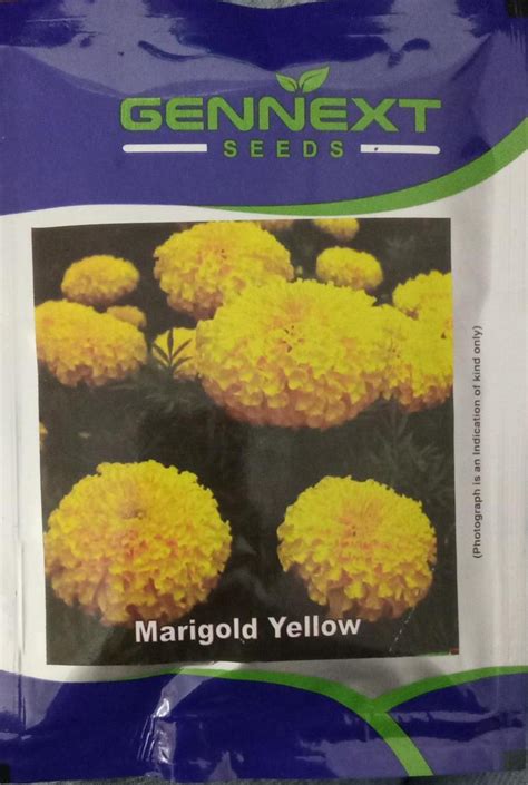 Marigold Yellow- Genntext Seeds