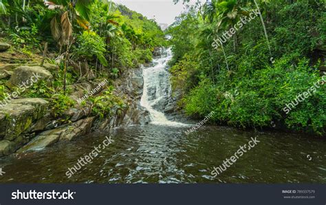 341 Seychelles Waterfalls Images, Stock Photos & Vectors | Shutterstock