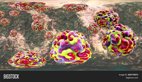 360 Degree Panorama View Of Rhinoviruses, The Viruses Which Cause ...