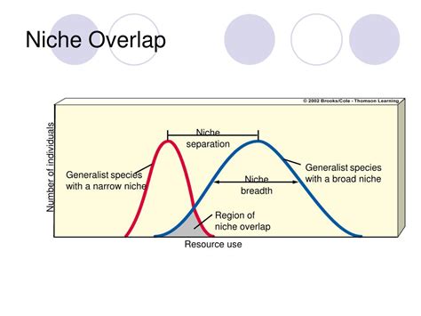 PPT - Evolution and Biodiversity PowerPoint Presentation, free download - ID:231052