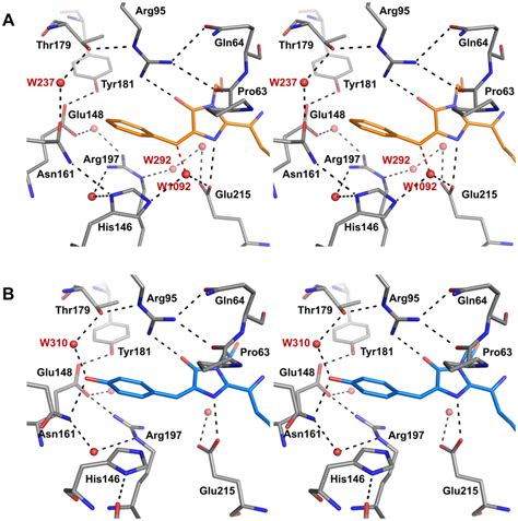 The chromophore environment of Rtms5Y67F and Rtms5. Stereoviews are... | Download Scientific Diagram