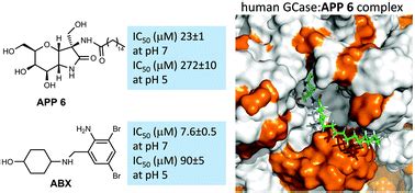 Conformationally-locked C-glycosides: tuning aglycone interactions for optimal chaperone ...