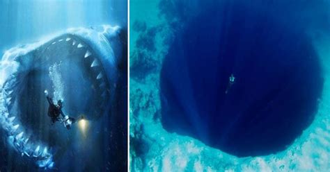 If You Feel Uncomfortable Looking At These Images, Then You Might Suffer From Thalassophobia!!