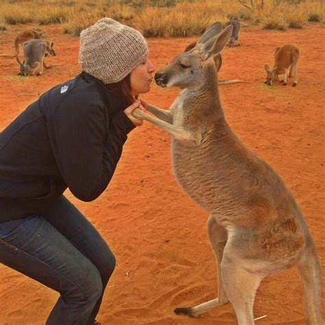 Rescued Kangaroo Hugs Her Rescuers Every Day, And The Internet Can’t Handle It | Bored Panda