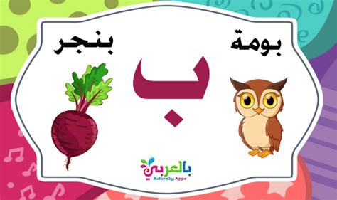 Learn the Arabic letter Baa (ب)with words -Arabic Alphabet Game ⋆ belarabyapps