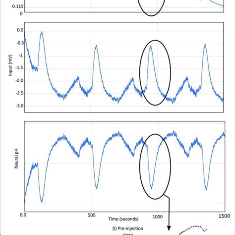 | Different electrochemical methods (A) Amperometry: where a constant ...