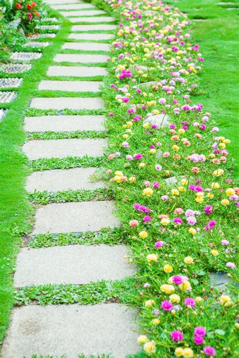 75 Garden Path Ideas and Designs (PICTURES) | Portulaca flowers, Ground cover, Ground cover plants