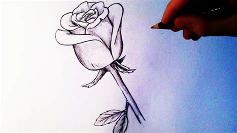 How to Draw a Rose - Easy tutorial | Roses drawing, Sketches easy, Flower sketch pencil