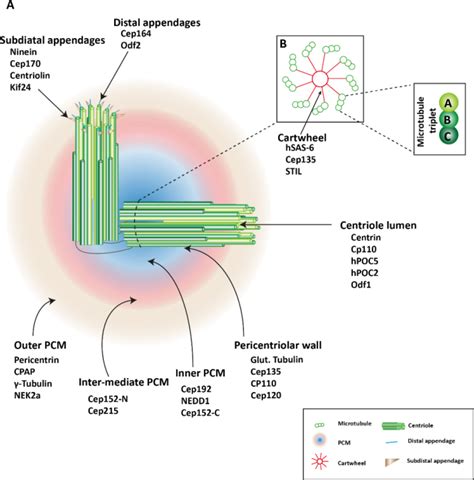 Overcome cancer drug resistance by targeting epigenetic modifications ...