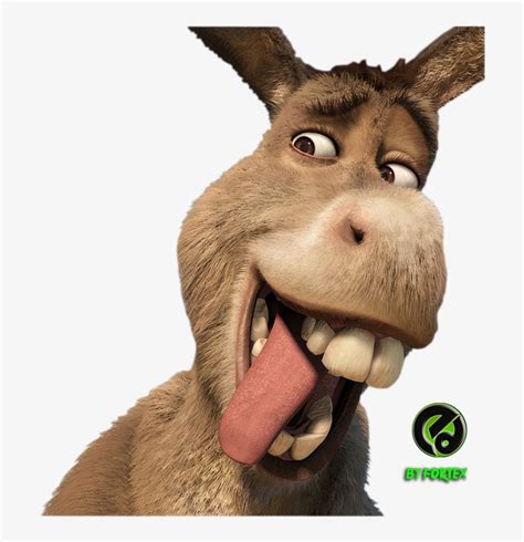 Smiling Donkey Shrek - Cartoon To Real Life Transparent PNG - 709x768 ...