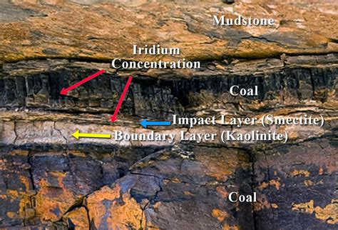 The K-Pg boundary layer in the Raton Basin of Colorado Geologists, Geology, Science And ...