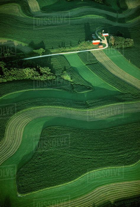 Agriculture - Aerial view of farmsteads and agricultural fields utilizing strip cropping as ...