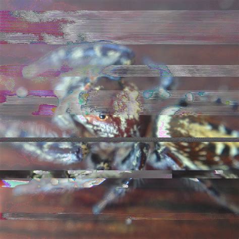 Glitch Spider by PoseidonOfTheSea on DeviantArt