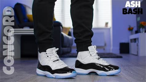 Zoo Kauen März air jordan 11 concord on feet Herzlich willkommen Quälen ...