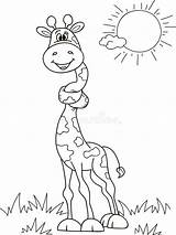 Coloring Page Giraffe Stock Illustrations – 1442  sketch template