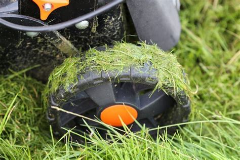 Why You Shouldn’t Mow Your Grass When It’s Wet | Reader's Digest