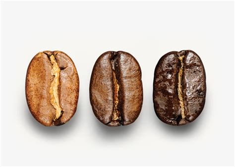 Starbucks Coffee Beans Types