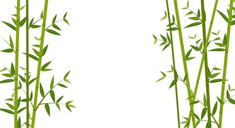 Vector illustration of green bamboo template background 538872 Vector ...