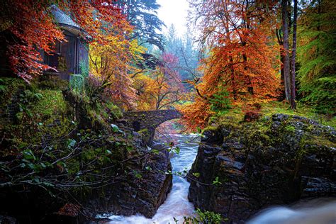 Scottish Fall Photograph by Photography by Petrova - Fine Art America