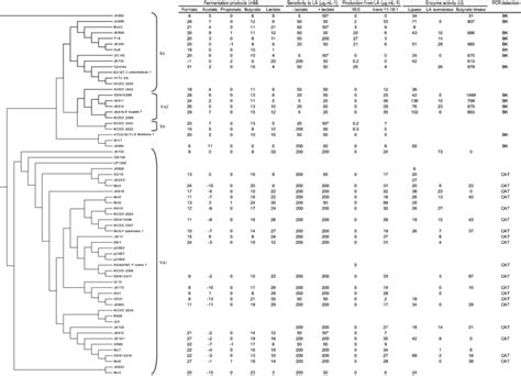 Phylogenetic position and fatty acid metabolism by different bacteria... | Download Scientific ...