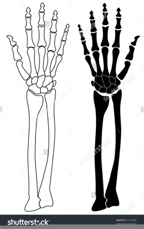 Skeleton Arm SVG