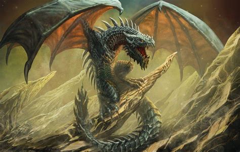 Wyvern Wallpapers - Top Free Wyvern Backgrounds - WallpaperAccess