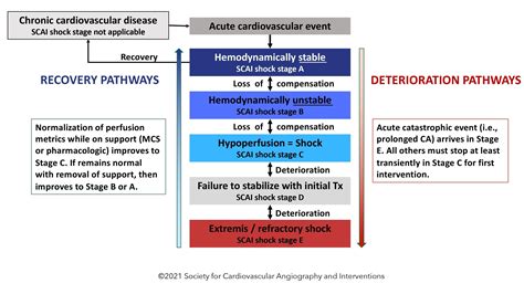 SCAI Previews an Expert Consensus Update to SCAI SHOCK Stage Classification | SCAI