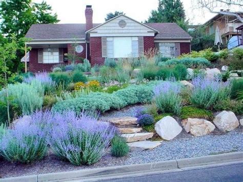 Image result for award-winning xeriscape "front yard" Xeriscape Front Yard, Xeriscape ...