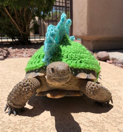 Crochet Tortoise Dino Cozy/sweater - Etsy