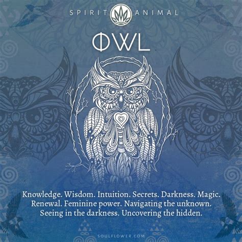 Owl Symbolism - Owl Spirit Animal - Soul Flower Blog