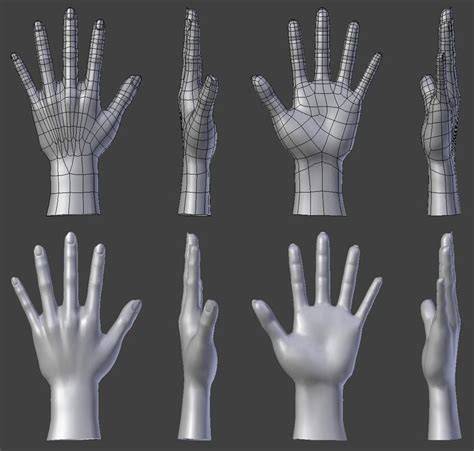 attachment.php (1024×975) | Anatomy reference, Hand model, Topology